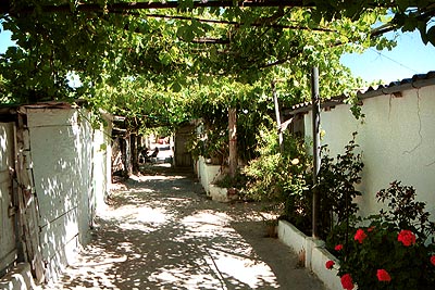 crete060601_11_ chania_tour_tony